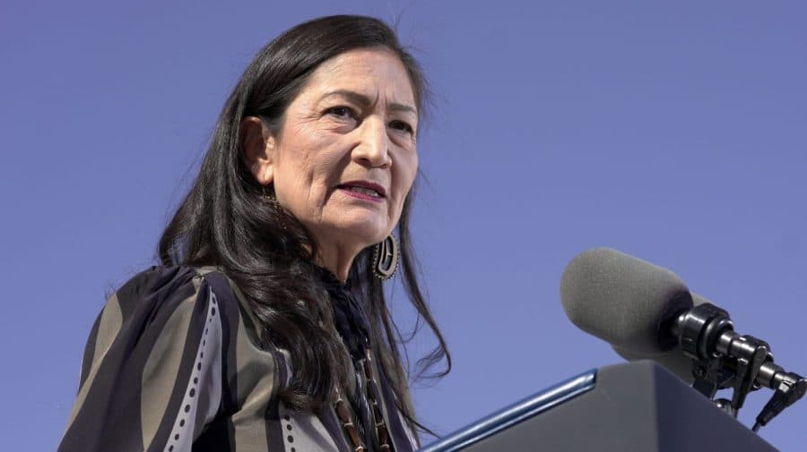Haaland leads Democratic primary for New Mexico governor: Poll