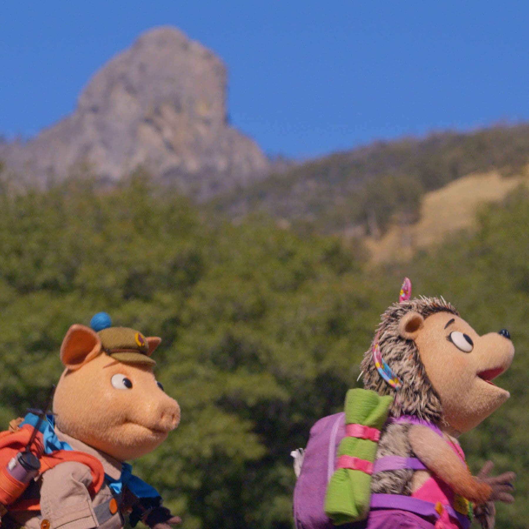 ‘Wowsabout’ Looks to Nature, and Jim Henson, in Hopes of Inspiring Awe