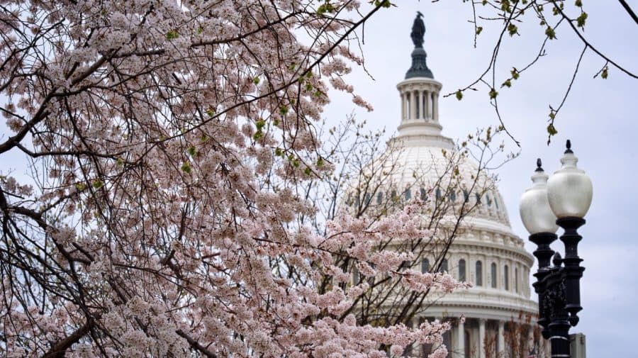 Approval of Congress falls to just 10 percent: Gallup
